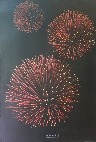 Link to  Blooming Firework2010  Product