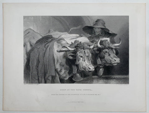 Link to  Oxen at the Tank: Geneva. "From the Drawing in the Possession of H.W.F. Bolckow. Esq M.P."USA, C. 1880  Product