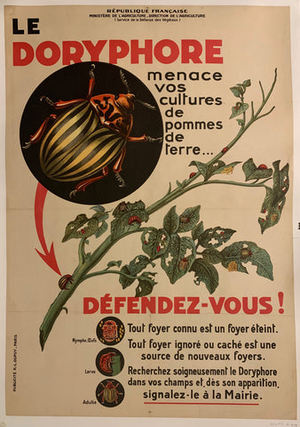 Link to  Le Doryphore menace vos cultures de pommes de terre... Defedez-vous!France  Product