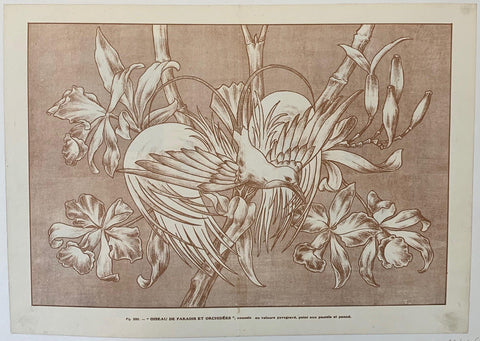 Link to  "Oiseau de Paradis et Orchidees"France, C. 1900  Product