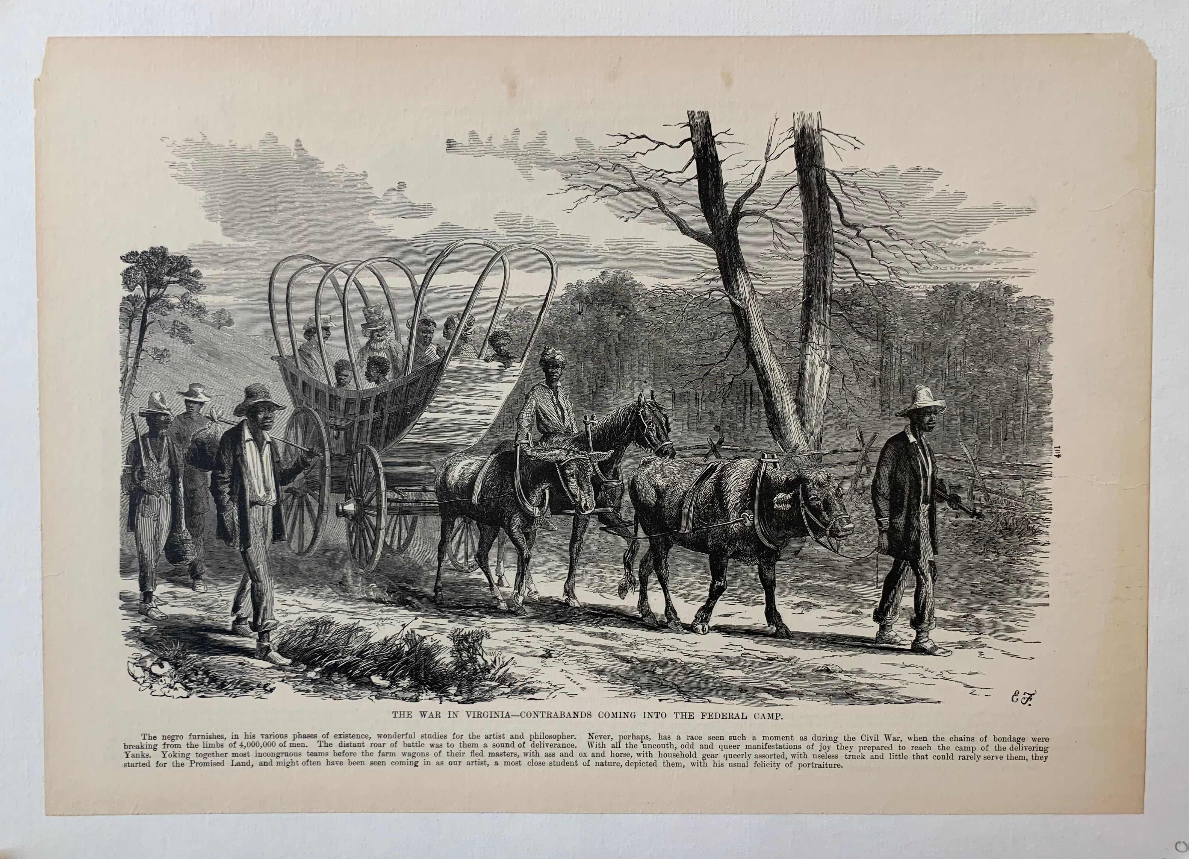 'The War in Virginia' Print