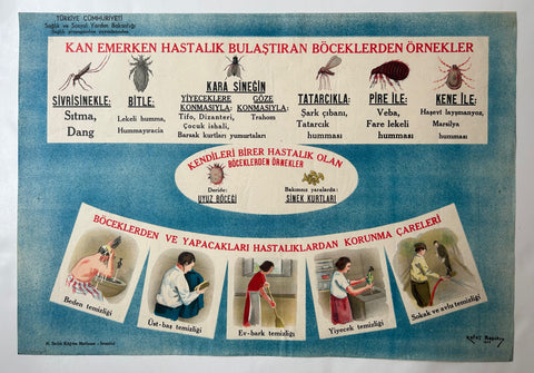 Link to  Turkish Insect Information PosterTürkiye, 1945  Product