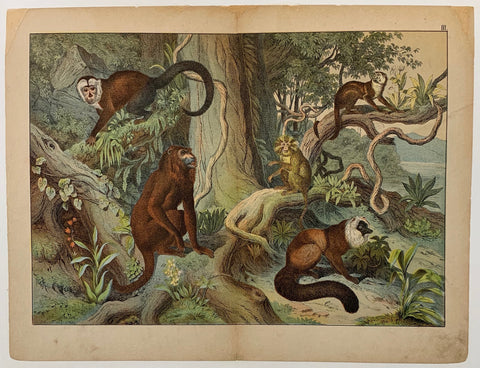 Link to  Monkey's in WildernessC. 1890  Product