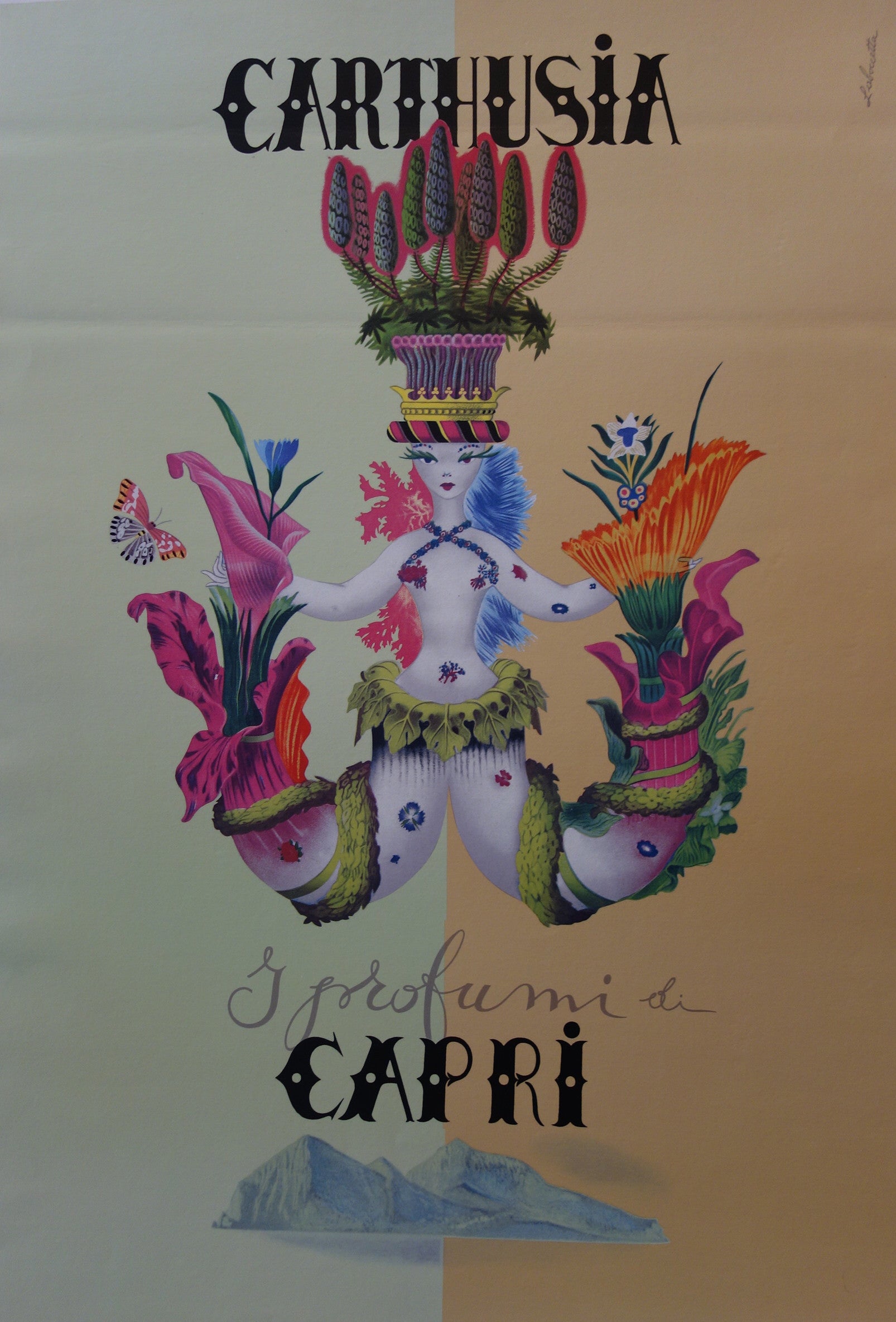 Carthusia - Capri