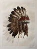 Eagle Feather Bonnet