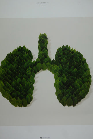 Link to  The Forest Is The Lungs Of The Earth2012  Product