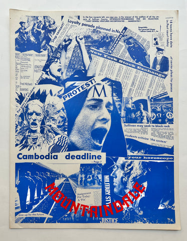 Link to  Mountaindale Protest Poster ✓USA, c. 1970  Product